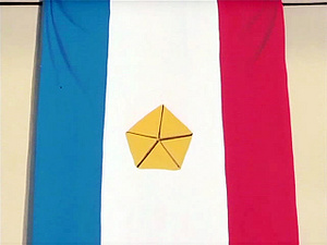 300px-FPA_flag.jpg
